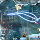 Image for article titled Söldner-X 2: Final Prototype's Lovely Bullet Hell